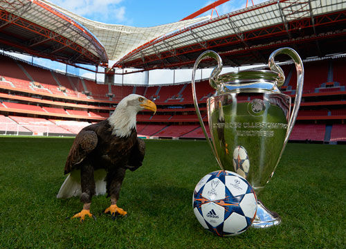 日本球员英超联赛射手榜 三笘薰15球反超冈崎慎司（三笘薰轰入15球登顶英超日本射手榜，力压冈崎慎司）